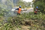Entretien routier par cantonnage, une nouvelle approche sur la route Yaoundé-Douala