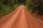Route principale en terre Dschang -Fongo Tongo, 22,10 km: l'entreprise s'est remobilisée  pour l'exécution des travaux d'entretien courant